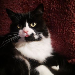 Meet your Posher, Andrea